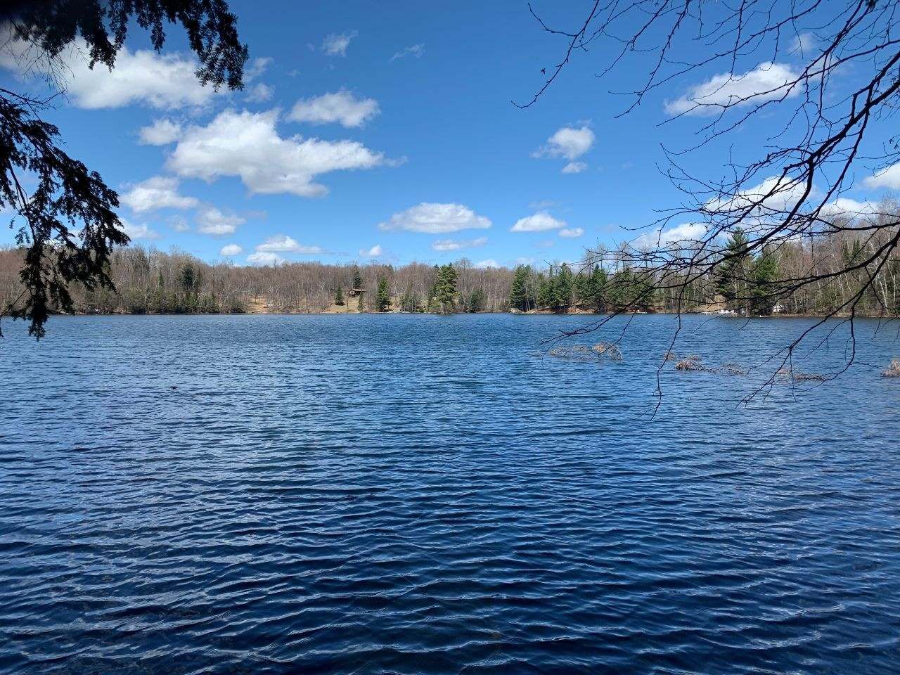 Property Photo:  5159N Feely Lake Rd  WI 54547 