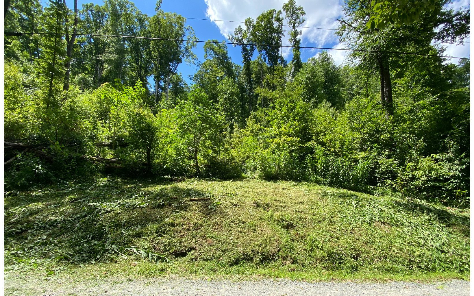 Property Photo: 0 Spindrift Ct Lot 126 GA 30540