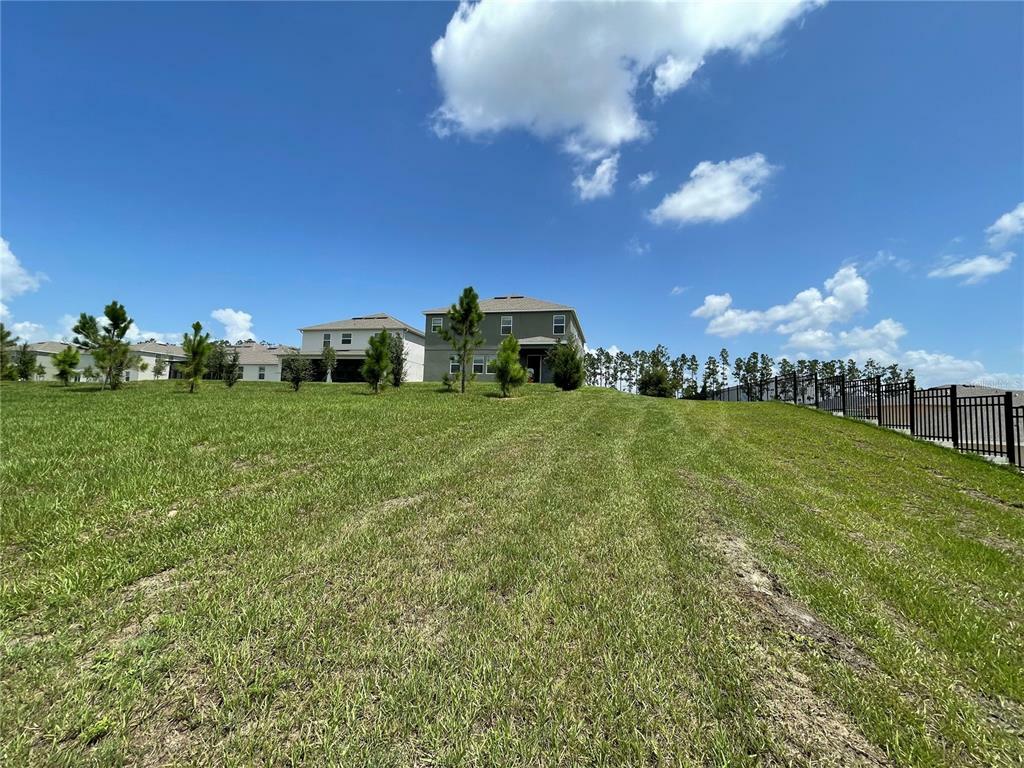 Property Photo:  2304 Mountain Pine Street  FL 34761 