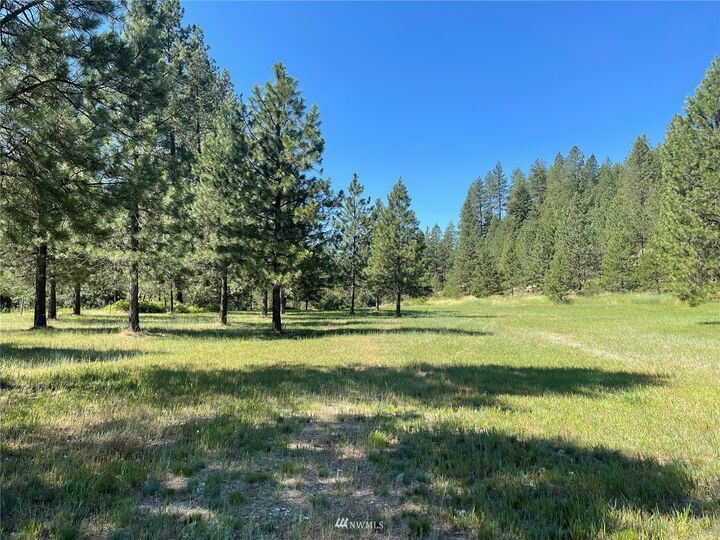 Property Photo:  17341 Highway 21 N  WA 99150 