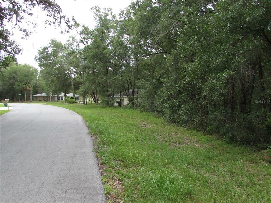 Property Photo:  Tbd SW 190th Court  FL 34432 