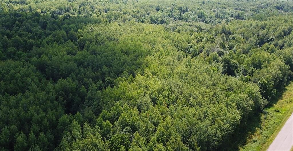 Property Photo:  40 Acres Bell School Rd.  WI 54848 