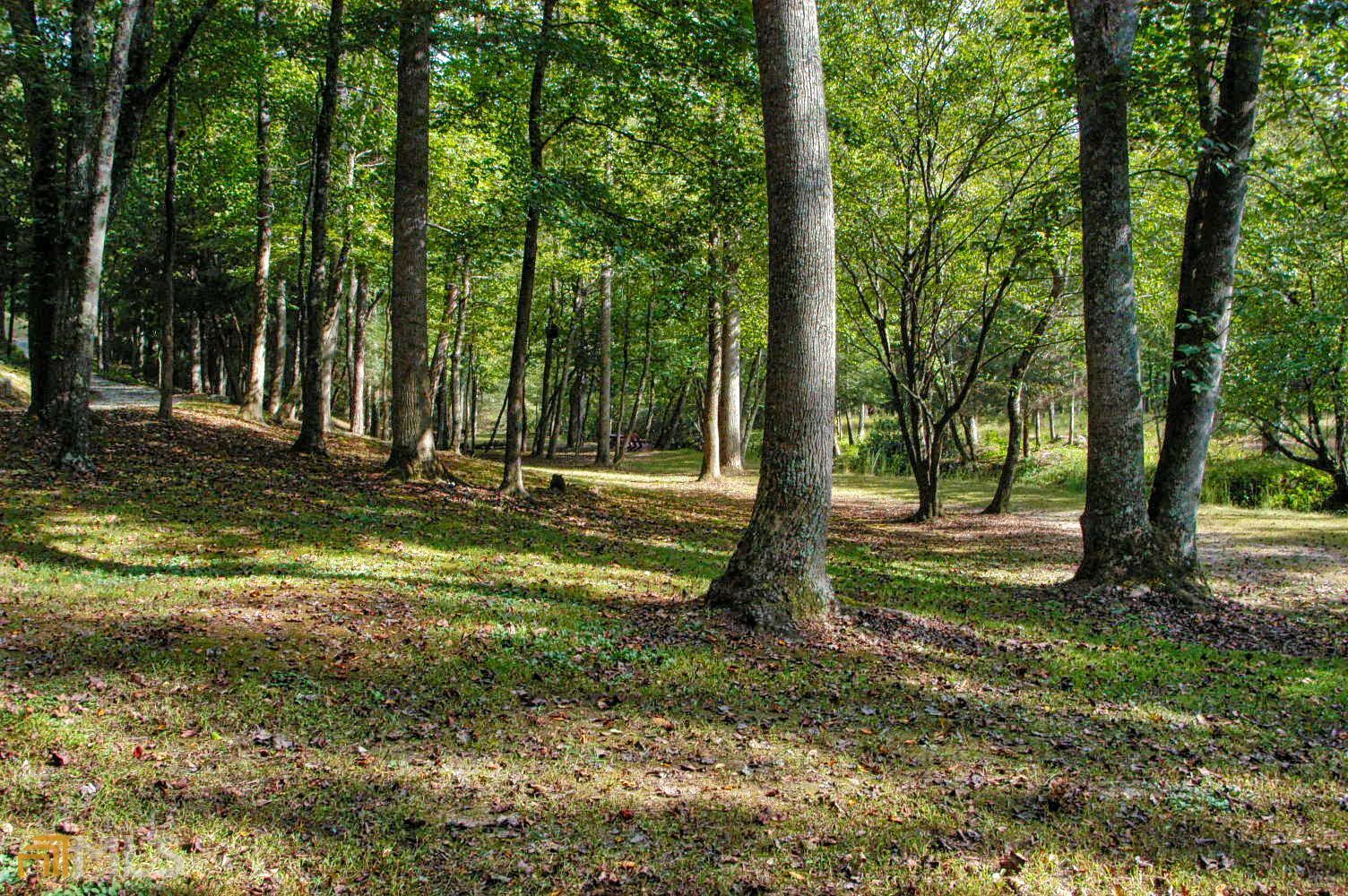 Property Photo:  Lot 34 Mountain Camp Road  GA 30536 