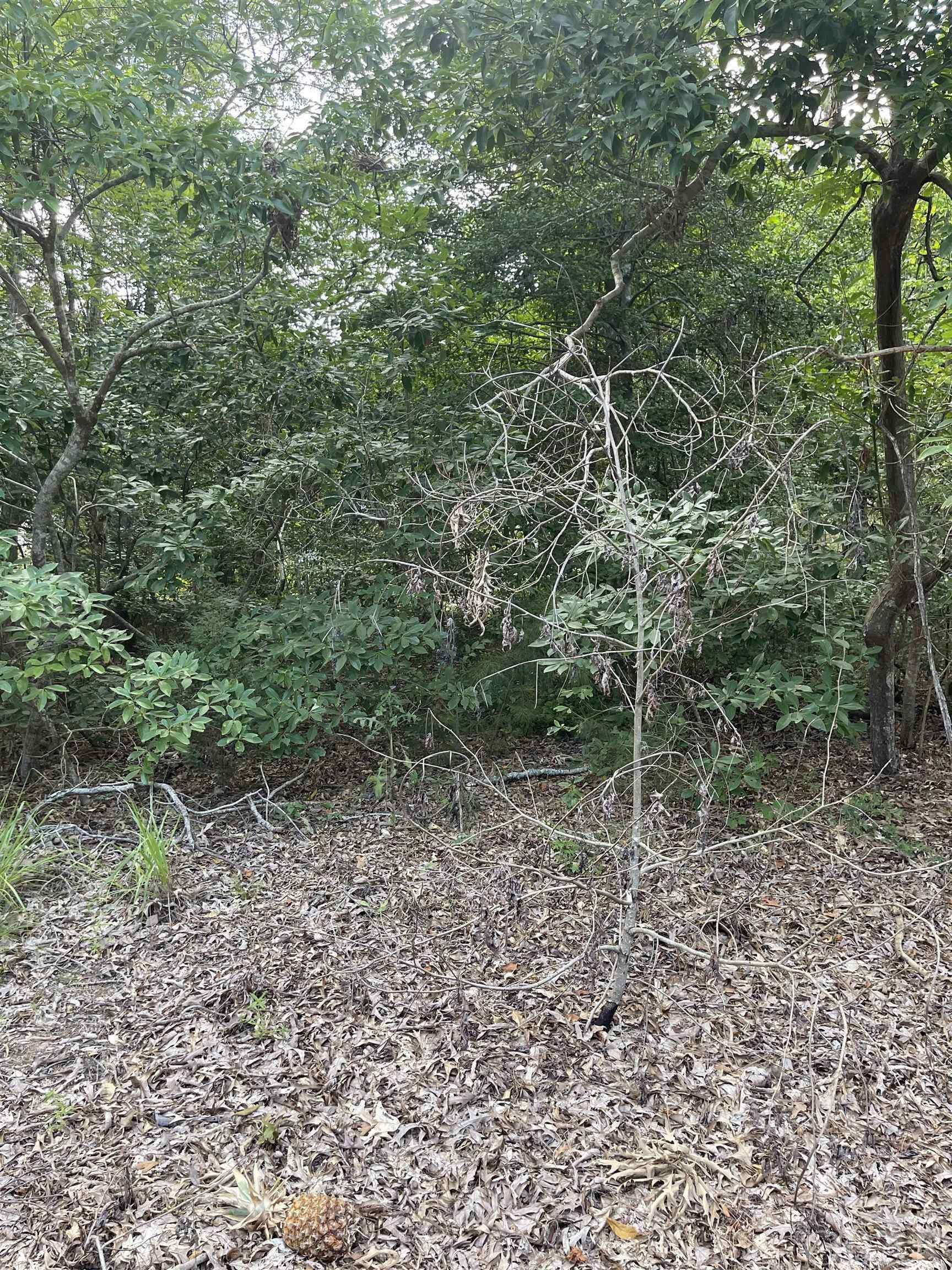 Property Photo:  112 Briggs Street  NC 27947 