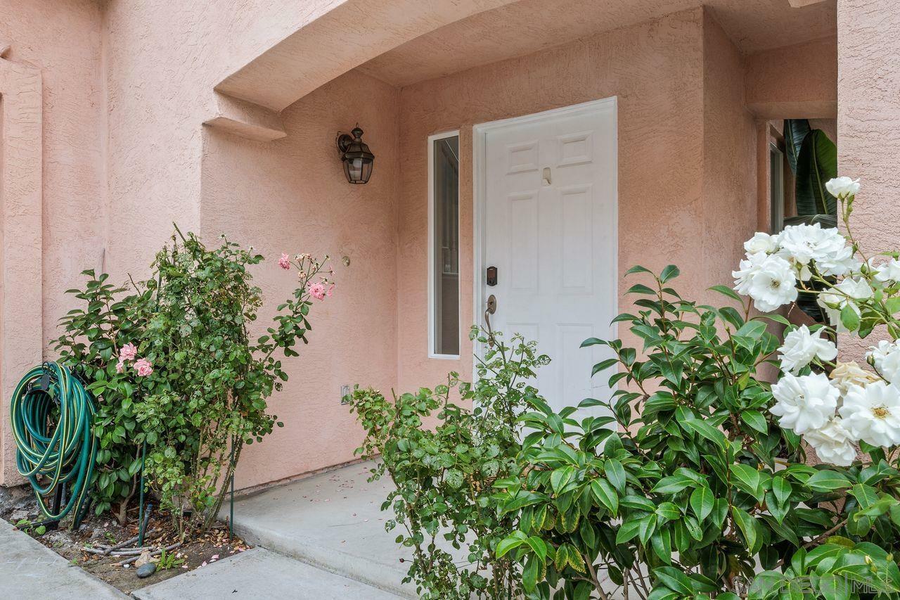 Property Photo:  244 Amatista Way  CA 92056 