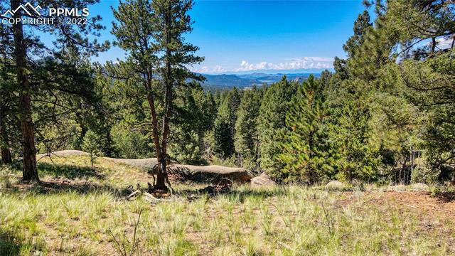 Property Photo:  2242 N Mountain Estates Road  CO 80816 