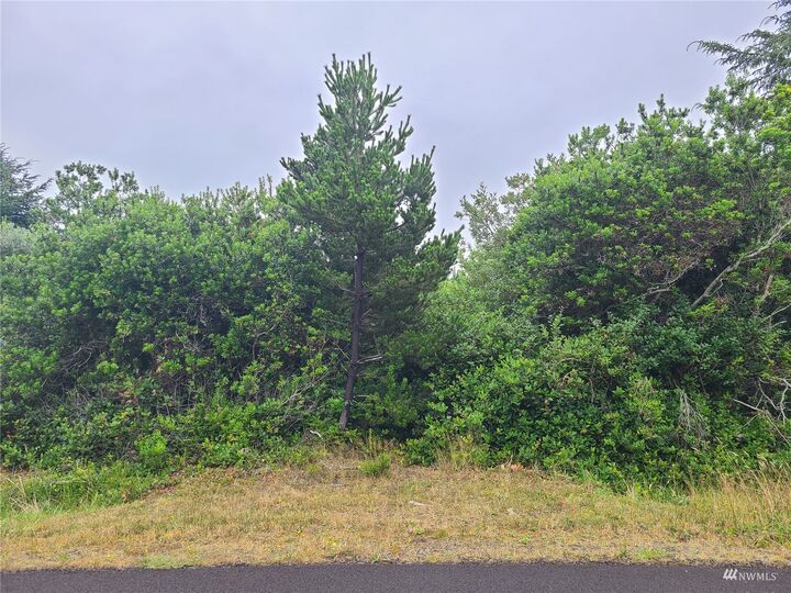 334 S Wynoochee Drive SW  Ocean Shores WA 98569 photo