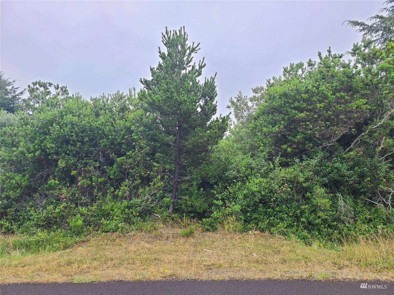 Property Photo: 334 S Wynoochee Drive SW WA 98569