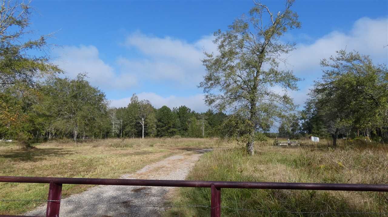 Property Photo:  439 County Road 825  TX 77612 