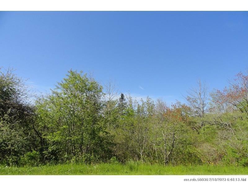 Property Photo:  Lot 97-5 Hendrickson Point Road  ME 04854 