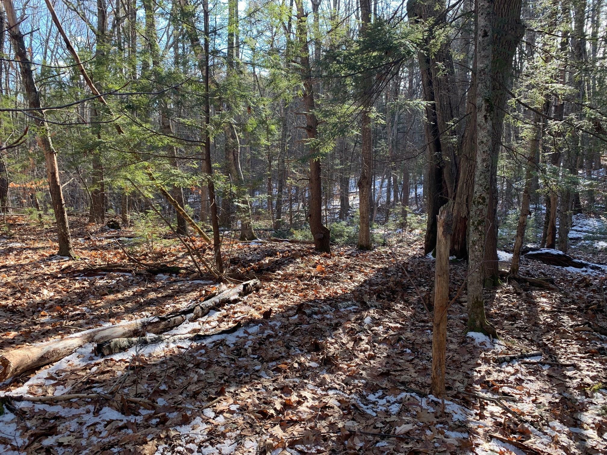 Property Photo:  Lot B Kimball Lane  ME 04043 