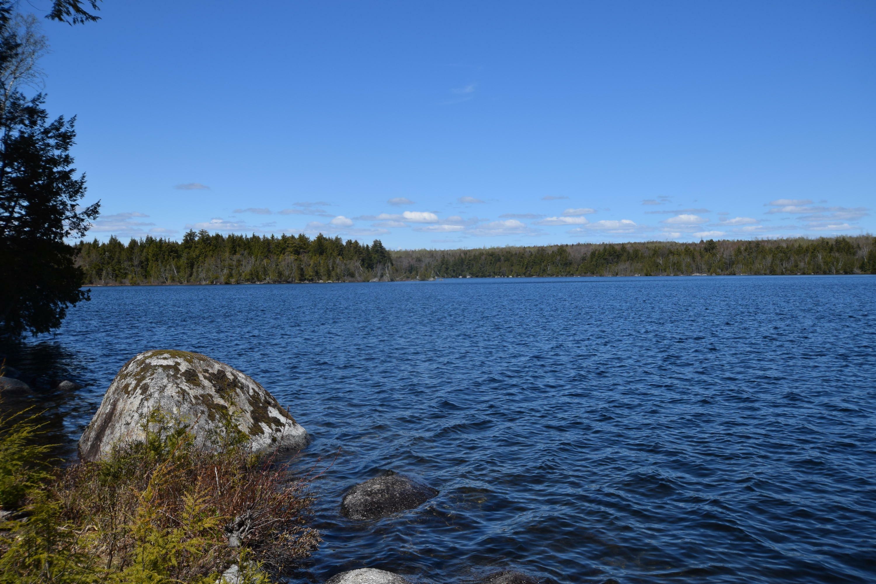 Property Photo:  592 Lot#18 Little River Cove Road  ME 04424 