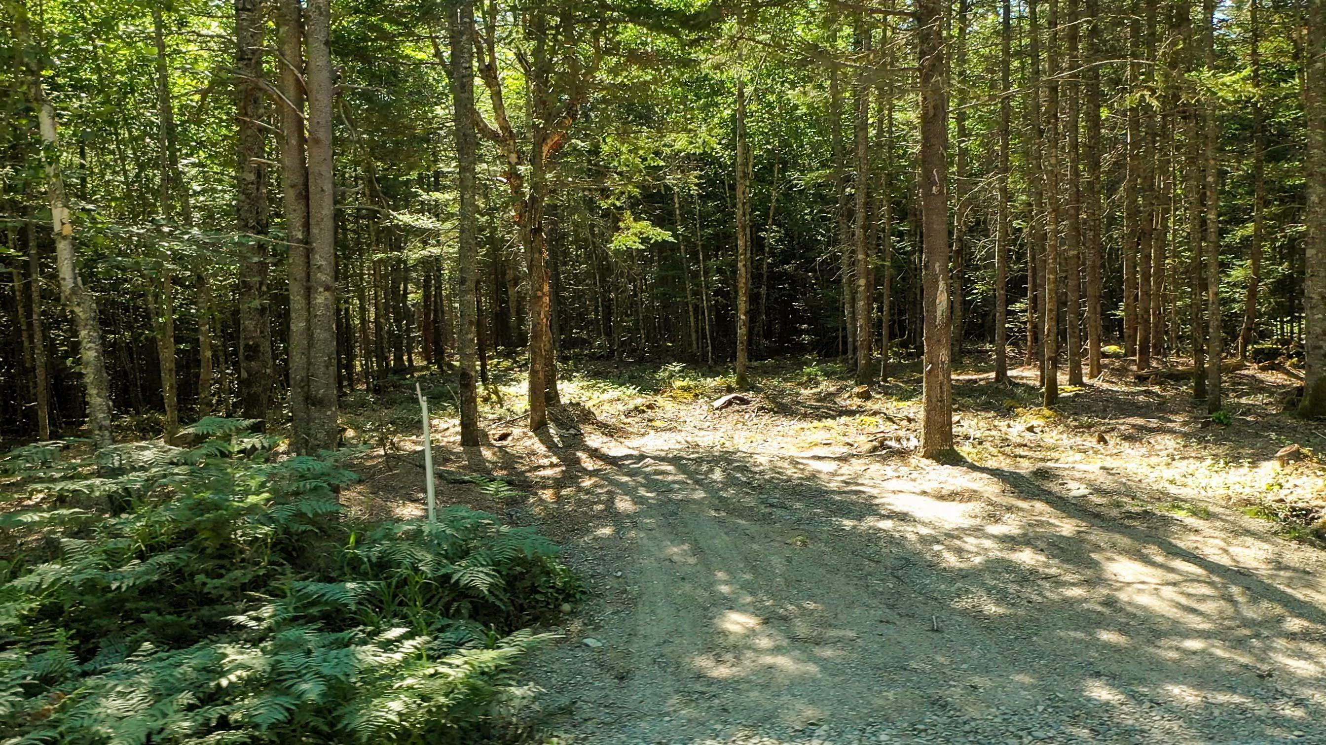 Property Photo:  43D/44D Duck Cove Road Road  ME 04654 