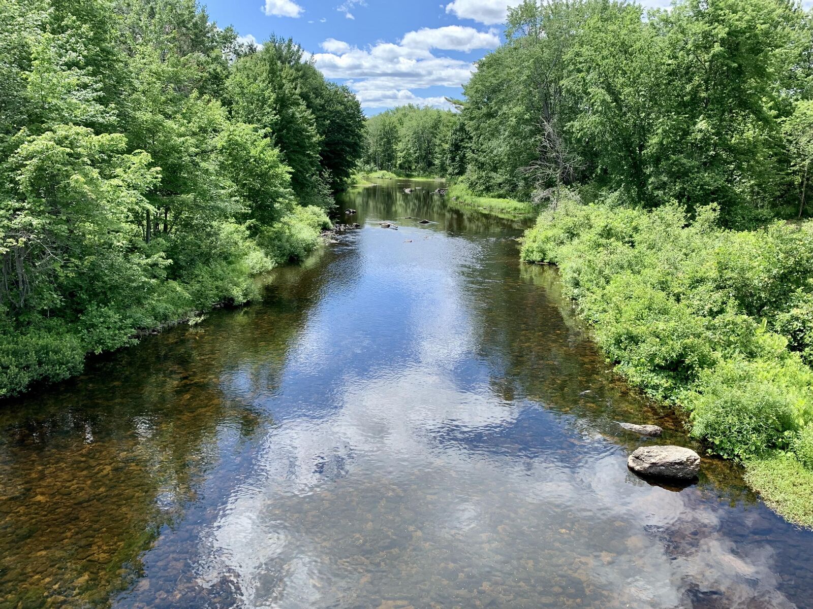 Property Photo:  Tbd Sokokis Trail  ME 04048 