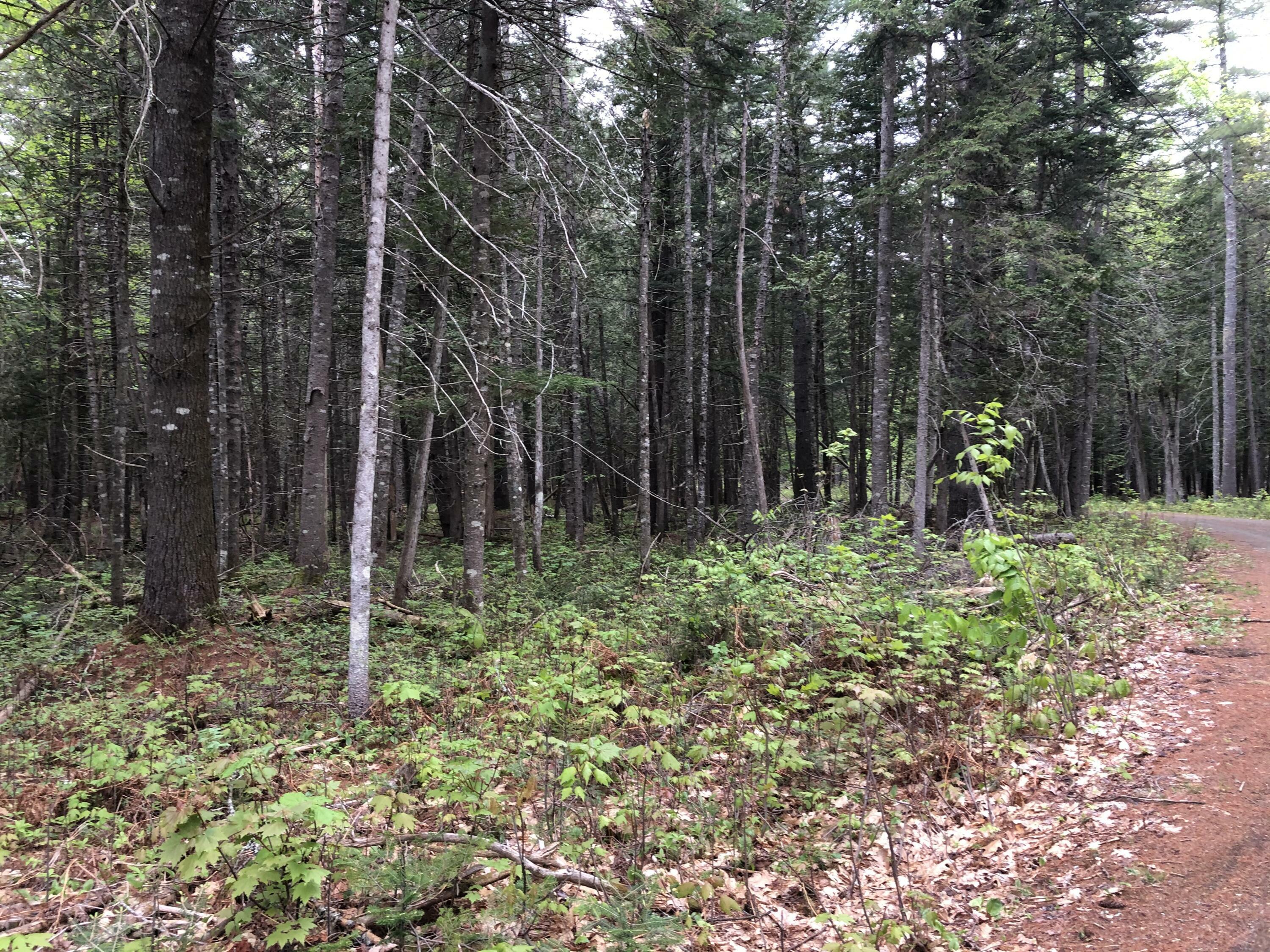 Property Photo:  0 Stone Wall Dr. (Lot 12)  ME 04861 