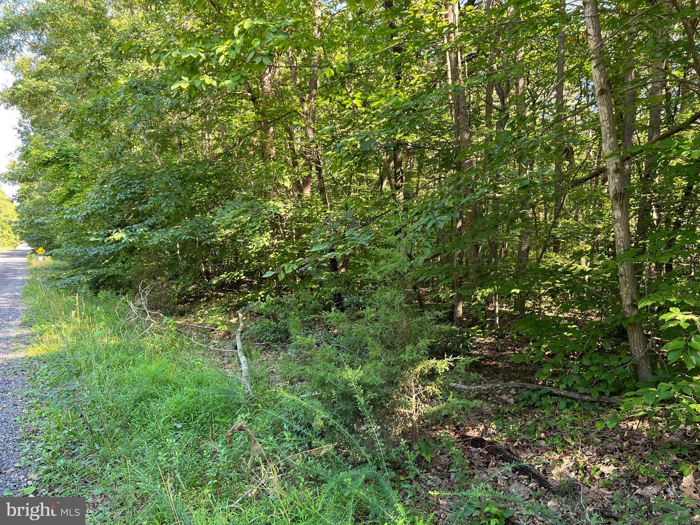 Property Photo: Greenwood Drive VA 22553