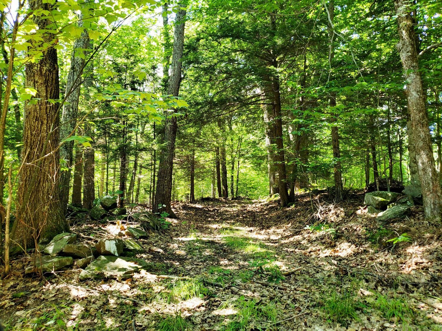 Property Photo: Snow Hill Road NH 03444