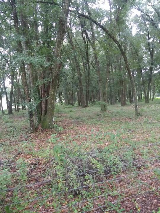 Property Photo: 35140 County State Rd 52 FL 33525