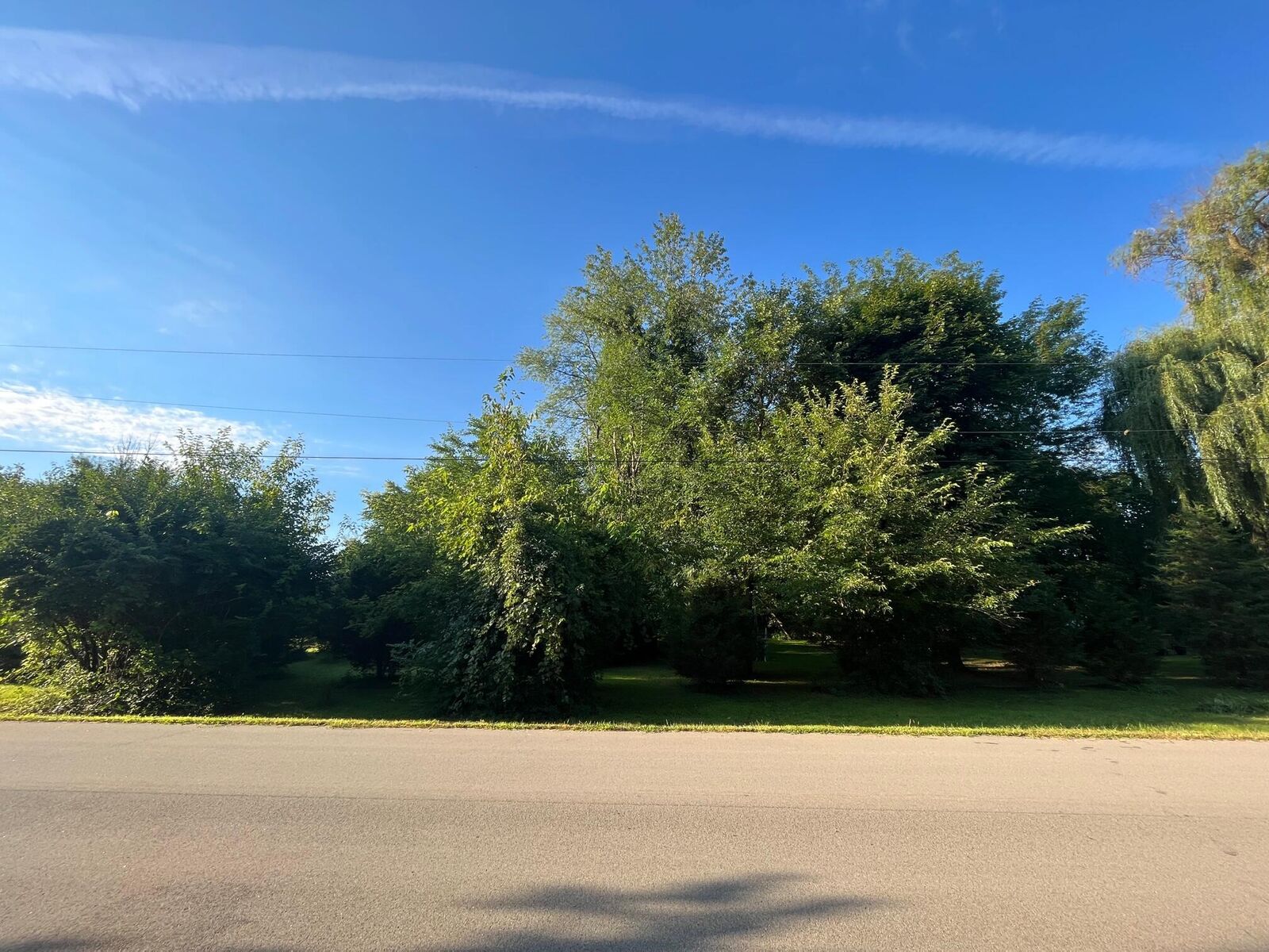 Property Photo:  Lots 18/19 Julia Street  MI 49203