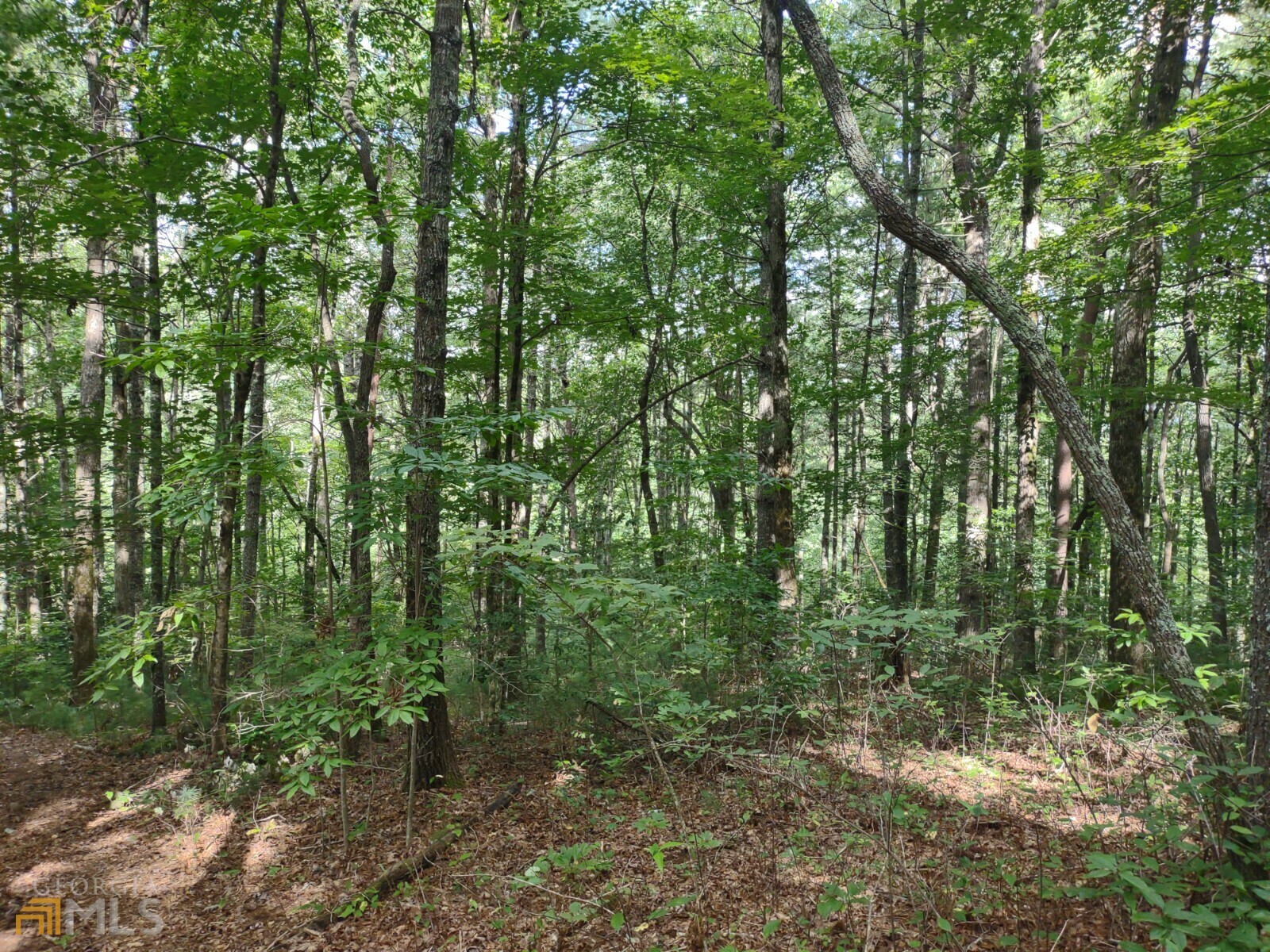 Property Photo:  Lt 27 Stirrup Cove  GA 30541 