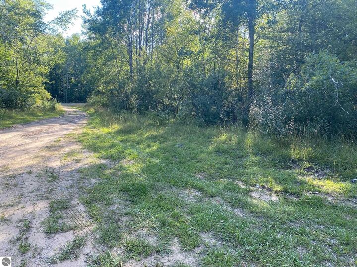 Property Photo:  Cowlitz Cove  MI 49631 