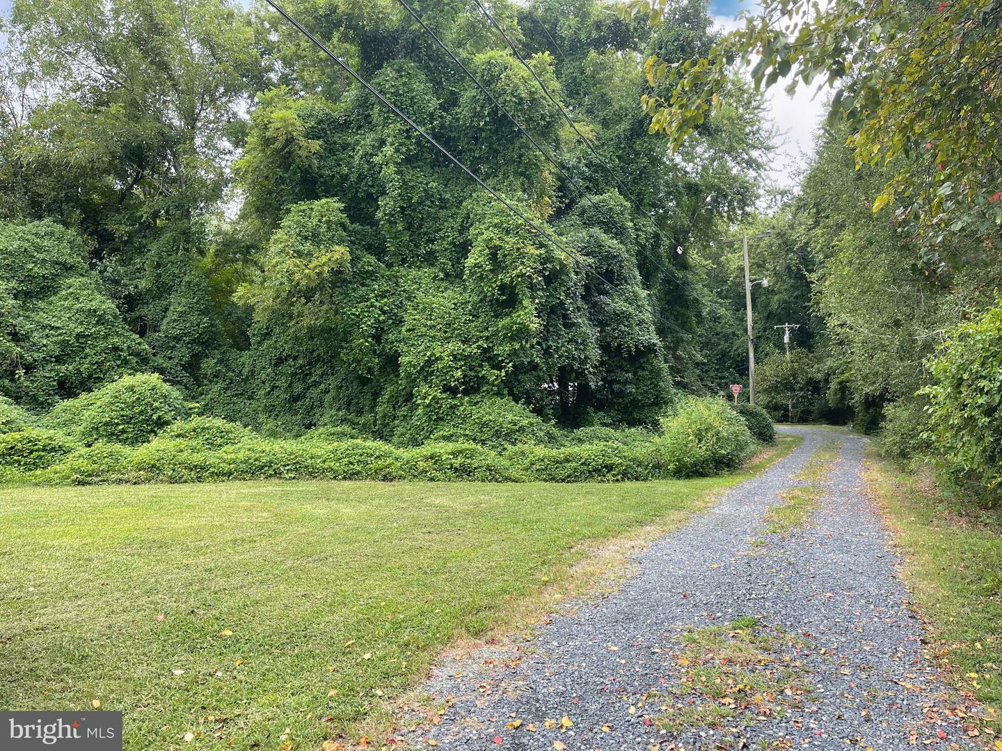 Property Photo:  Lot 26 Silver Maple Drive  DE 19960 