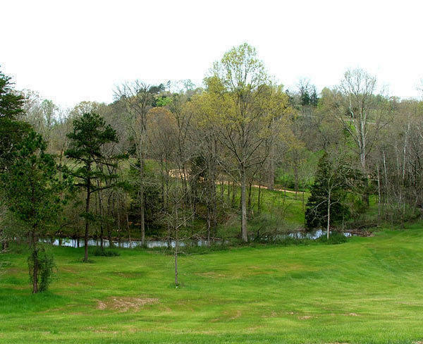 Property Photo: Lot 46 Bear Creek Rd TN 37308