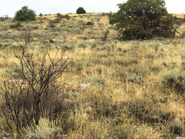 Property Photo:  Address not disclosed  UT 84317 