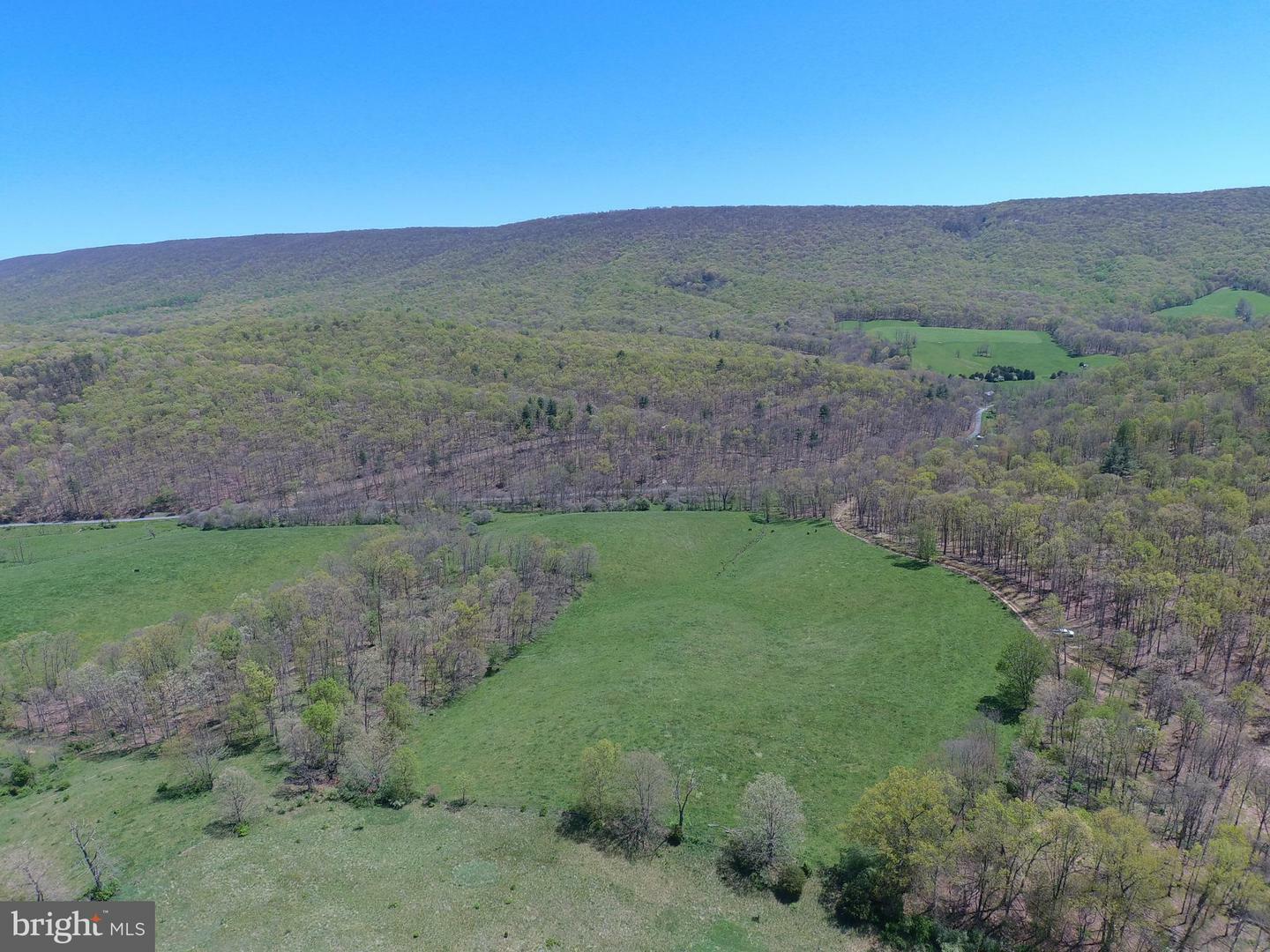 Property Photo:  42 Needmore Road  WV 26801 