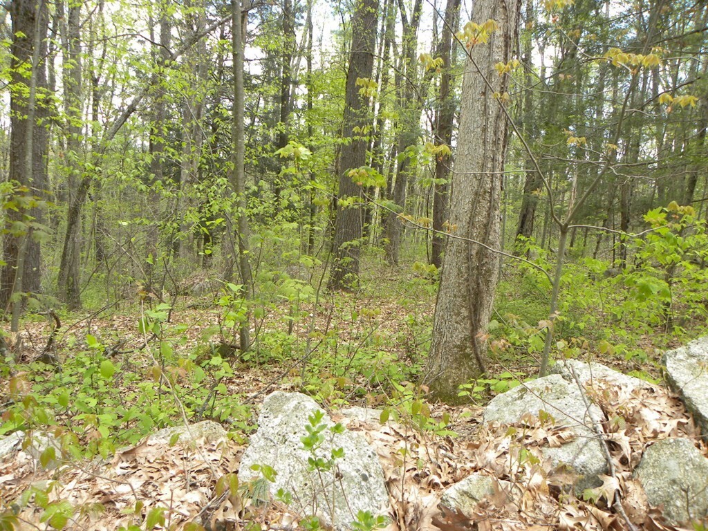 Property Photo:  Lot 1 Denfield  &Amp Lot Guelphwood Rd  MA 01507 