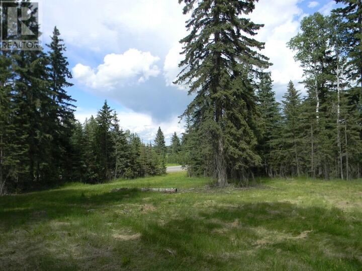Property Photo:  123 Meadow Ponds Drive  AB T4T 2A2 