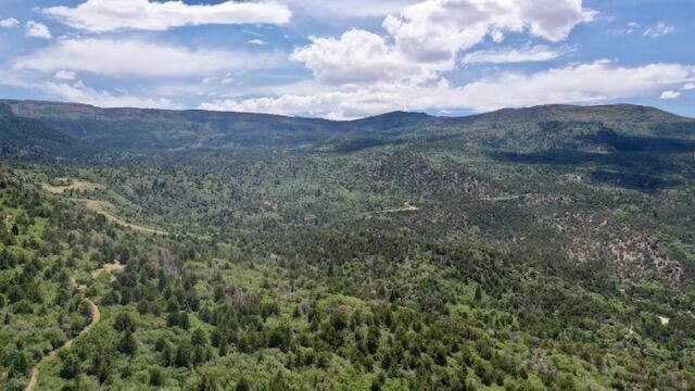 Property Photo:  Right Hand Canyon  UT 84720 