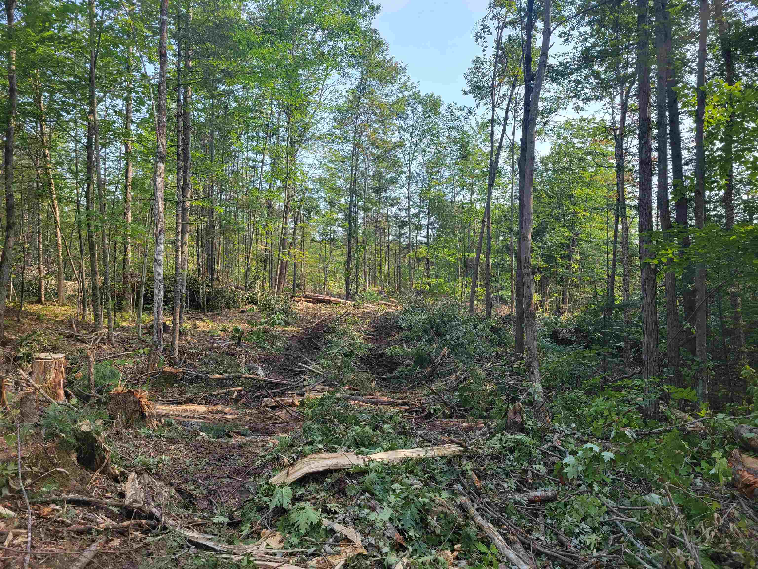 Property Photo: 7-427 Gifford Hill Road NH 03240