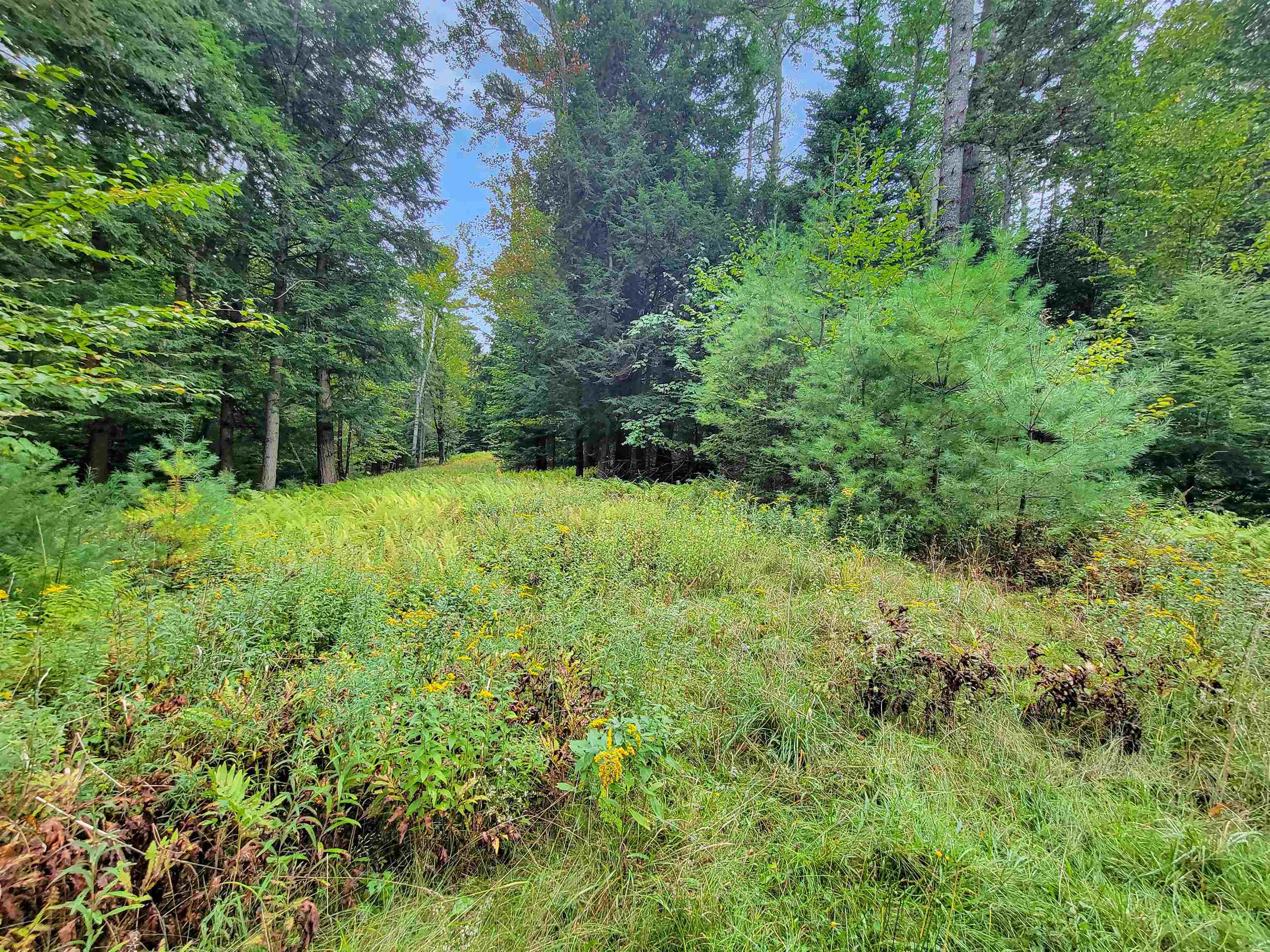Property Photo: 00 Straford Road NH 03785
