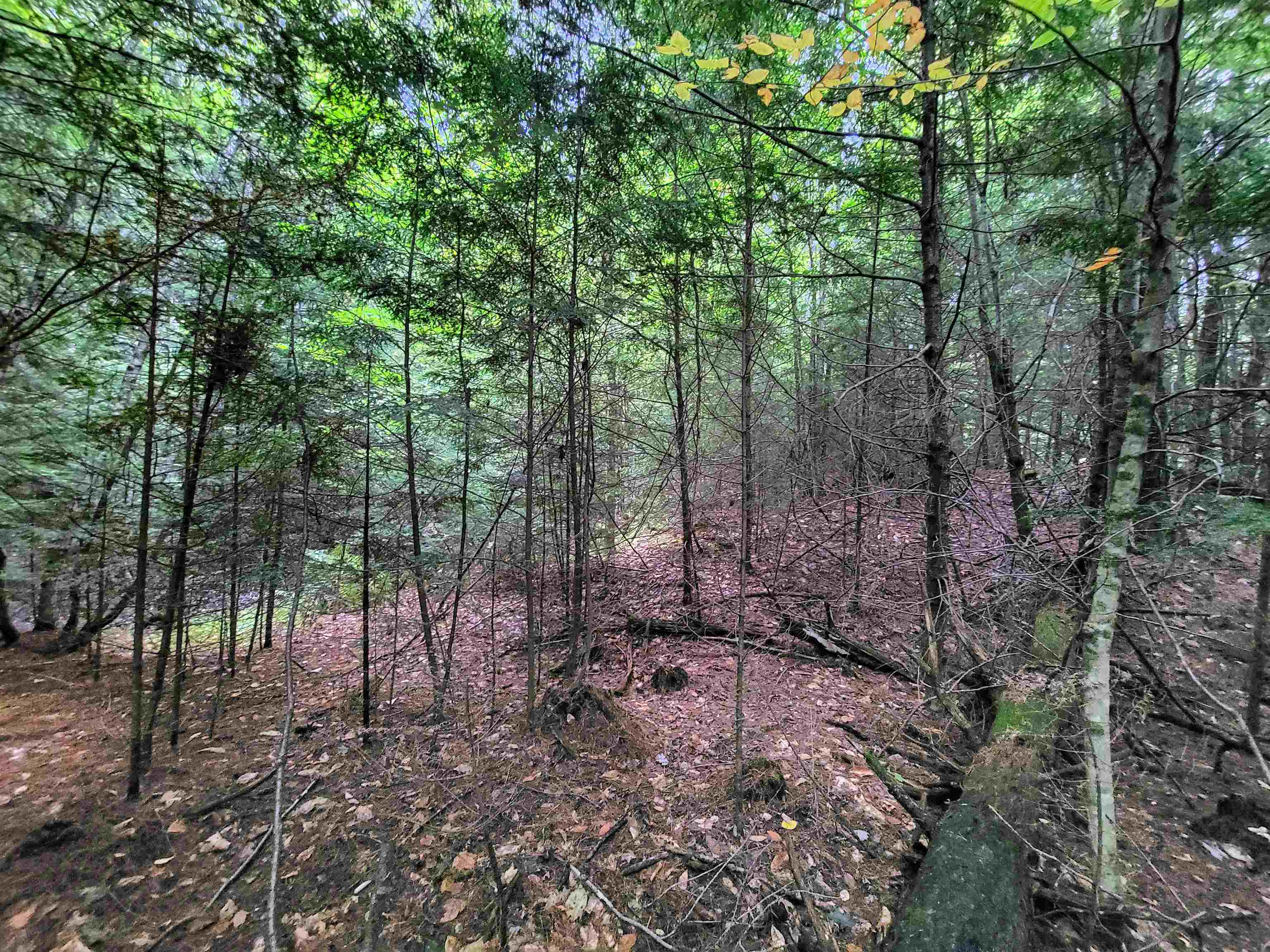 Property Photo: 201-288 White Mountain Road NH 03785