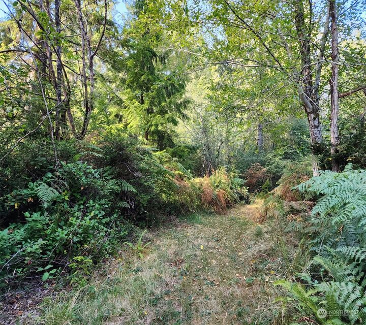 Property Photo: 401 E Merlot Lane WA 98584