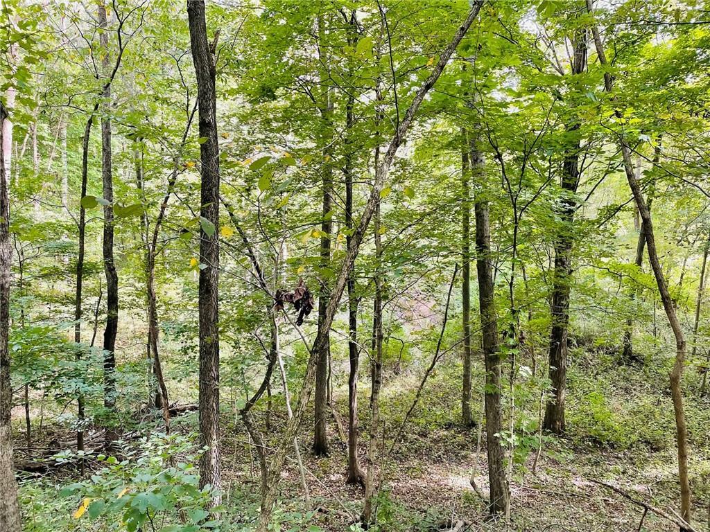 Property Photo:  Lot 4  IL 62458 