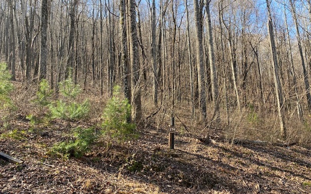 Property Photo: L 174 Trailwood Drive GA 30536