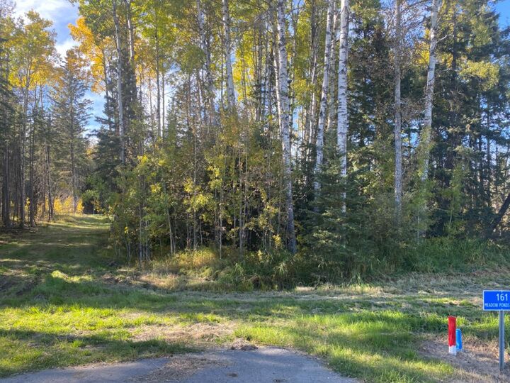 Property Photo: 161 Meadow Ponds Drive AB T4T 2A2
