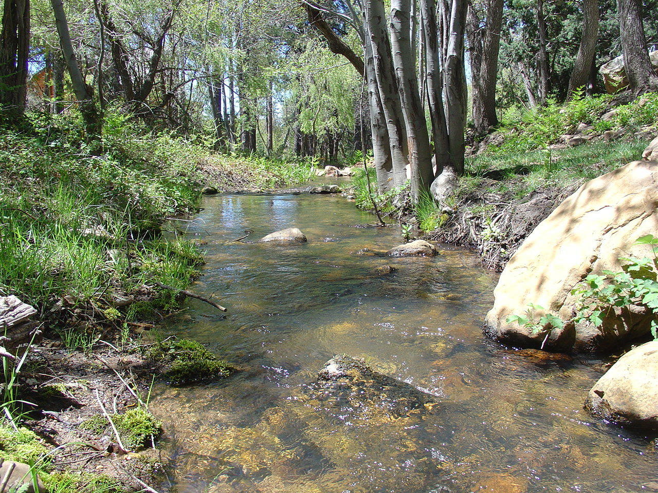 Property Photo:  40B & 40C Myrtle Point Trail  AZ 85541 