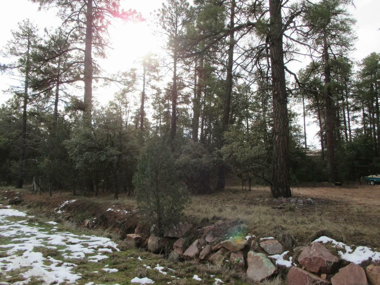 Property Photo:  805B N McLane Road  AZ 85541 