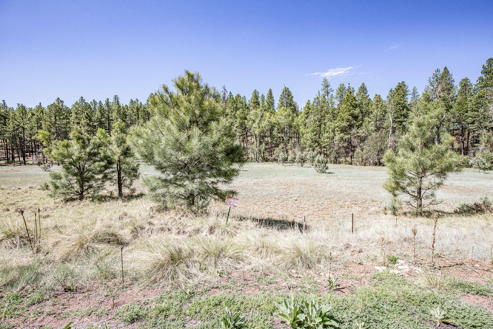 Property Photo:  138 S Hunter Creek Drive  AZ 85541 