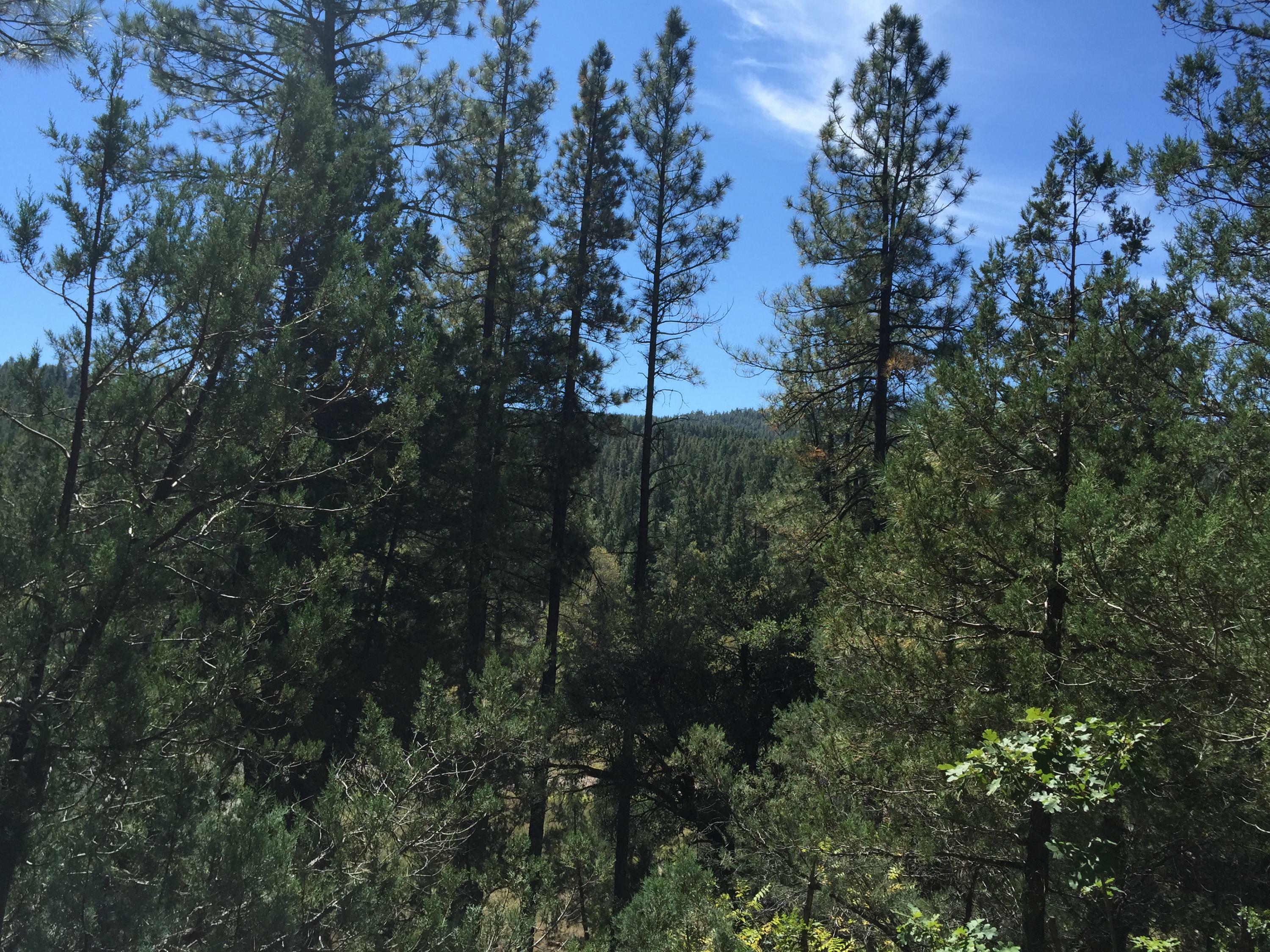 Property Photo:  Lot 130 Hunter Creek Drive  AZ 85541 