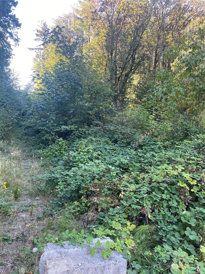 Property Photo:  0 Nevada Ave & Michigan St  WA 98366 