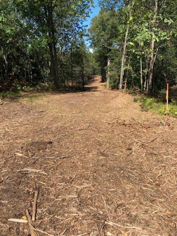 Property Photo: Vl Lakewood Road MI 49457
