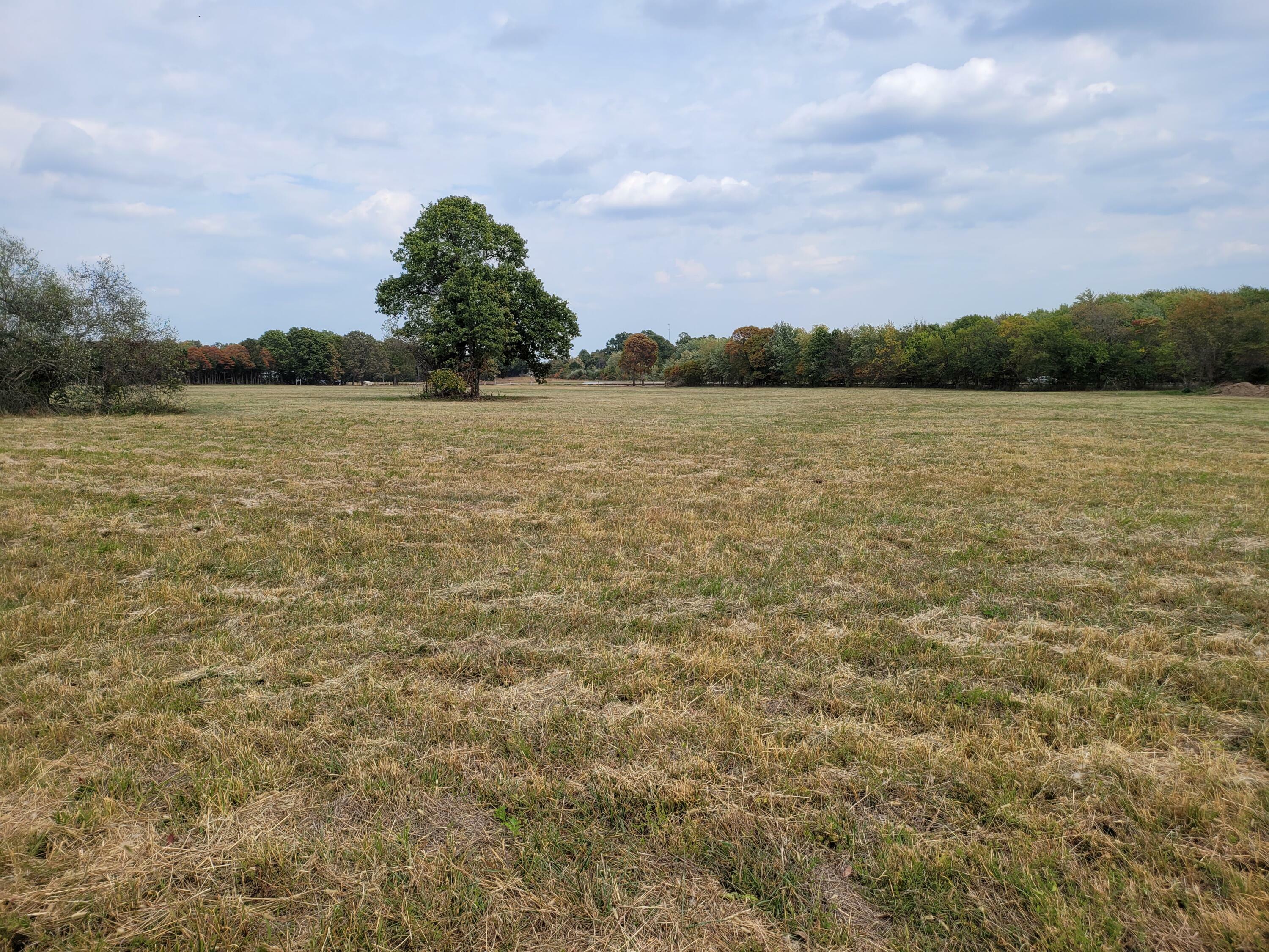 Property Photo: Tract 1 Highway 60 MO 65610