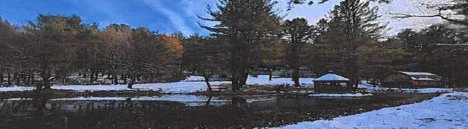 Property Photo: 1140 Sexton Hollow Road NY 14870