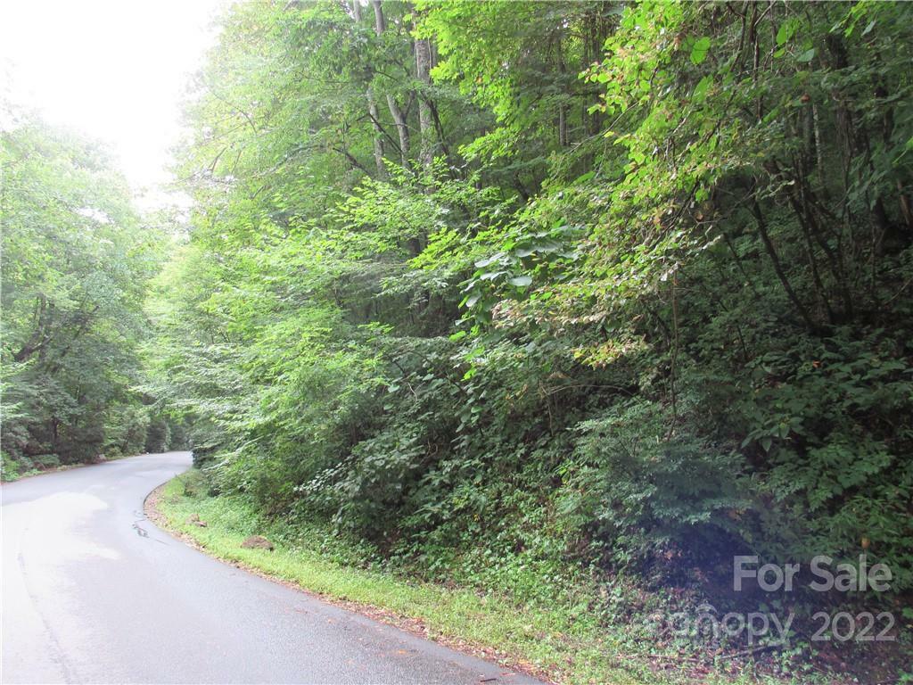 Property Photo:  Lot 23 Village Lane 23  NC 28786 