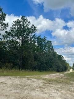 Property Photo:  Lot 7 SW 91st Lane  FL 34432 