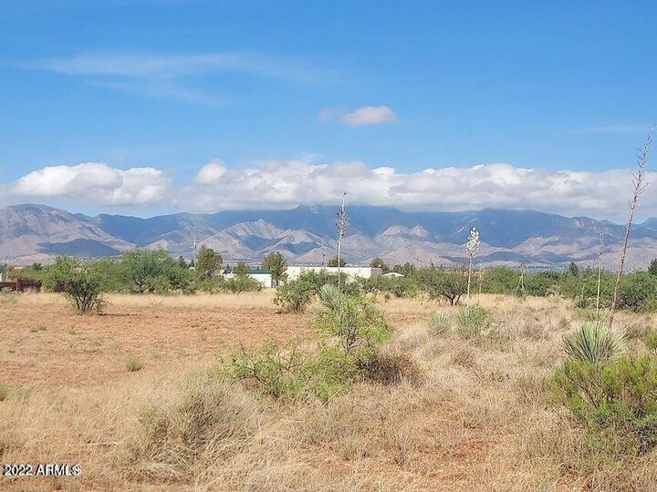 Tbd Lot C S Longhorn Road 2  Hereford AZ 85615 photo